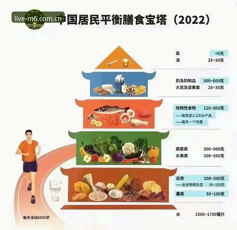 M6体育平台手机版下载指南：2025最新版本安装流程与功能实测