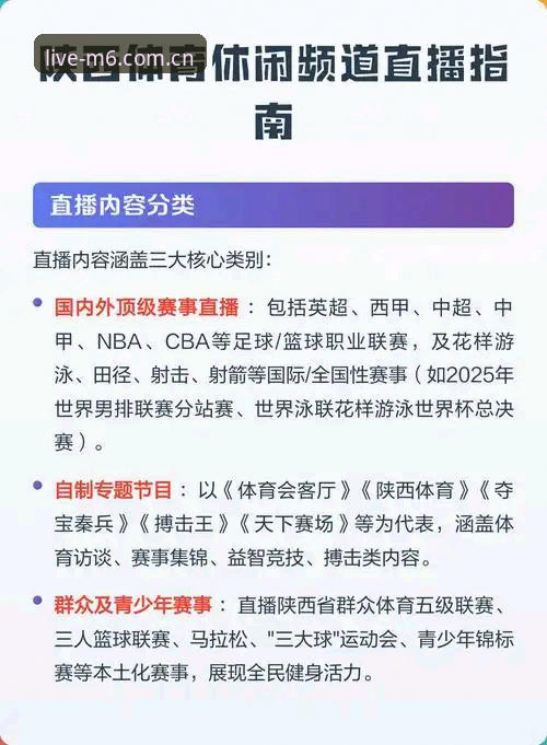 M6体育平台安全性完整评测指南：从技术角度解析正规体育直播平台